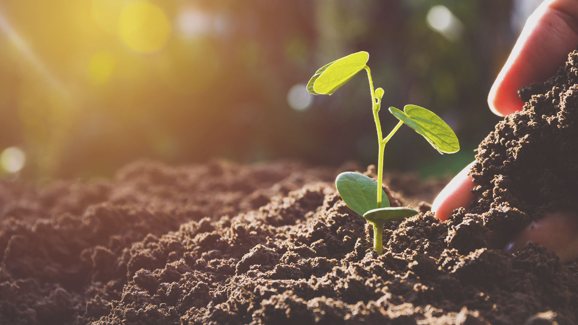 New Virginia law for organ donation leave