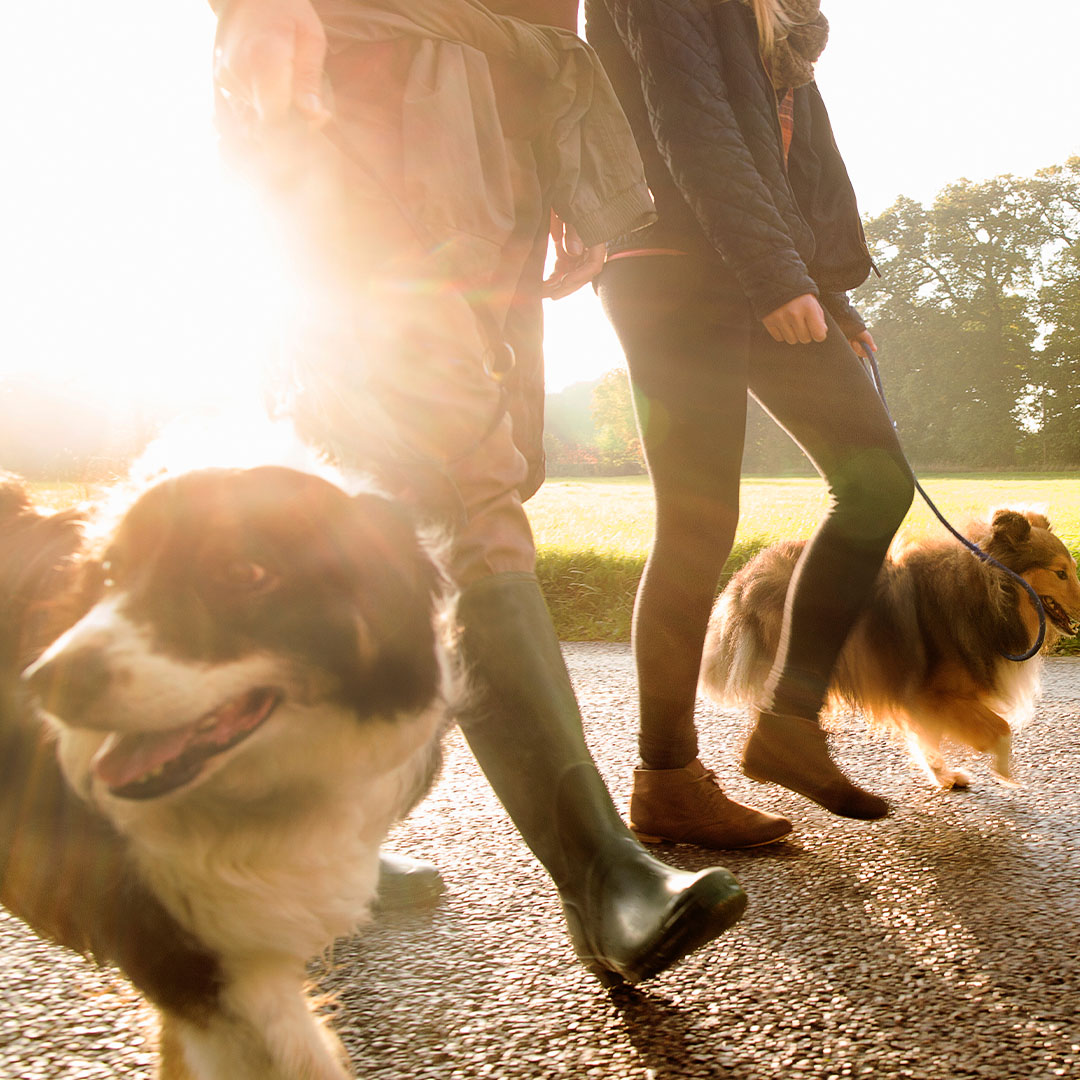 Supporting employee wellbeing: a holistic approach to health at BD